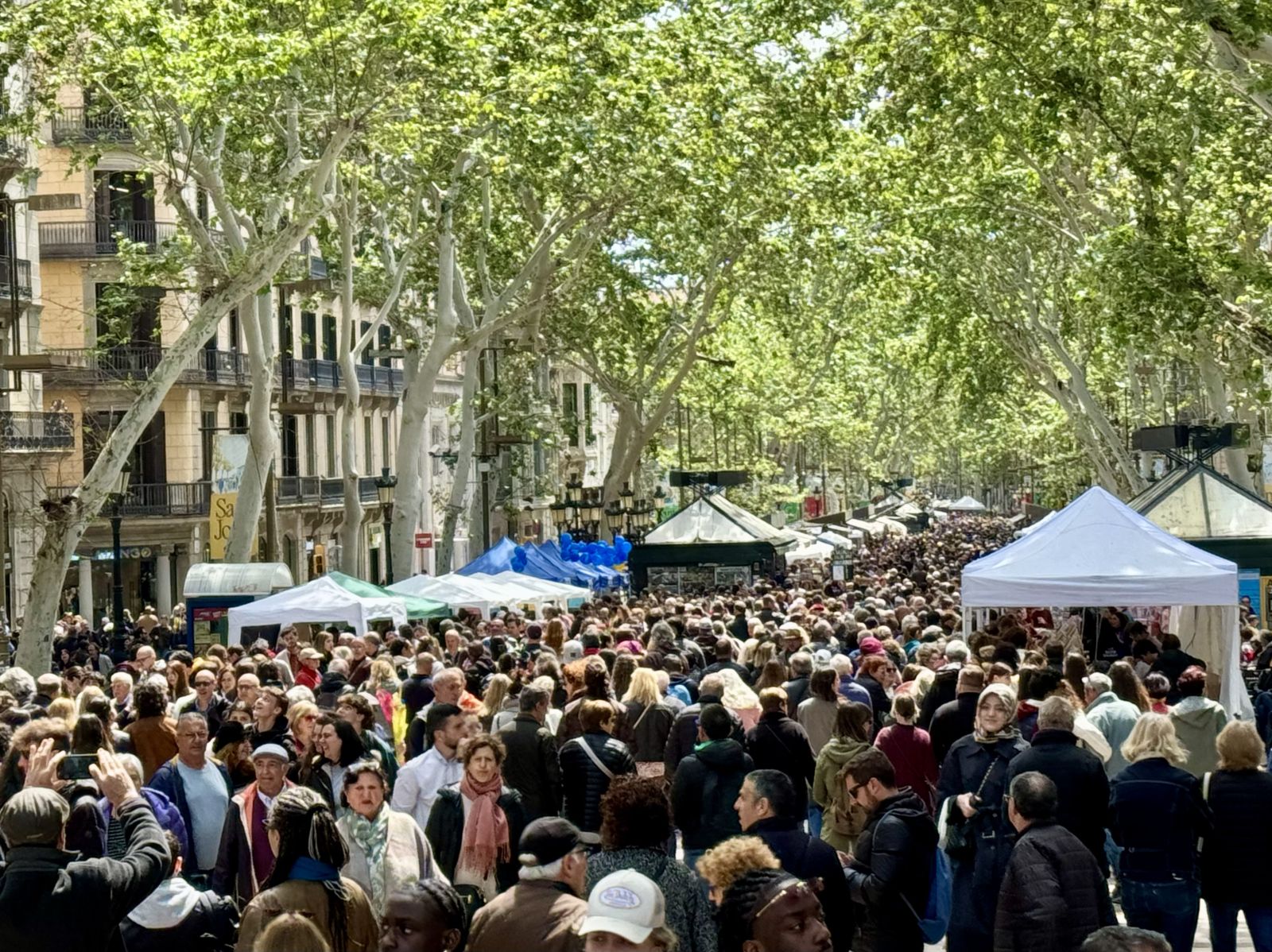 Sant%20Jordi8.jpeg