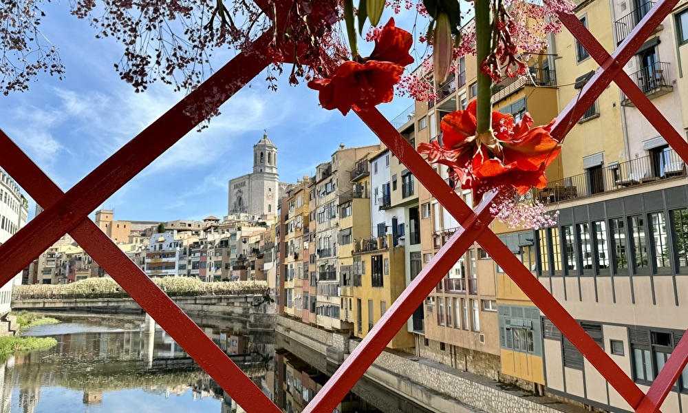 Temps_de_Flors_in_Girona