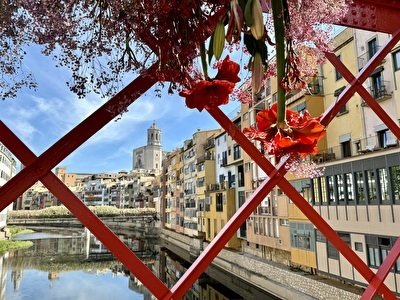 Temps_de_Flors_in_Girona